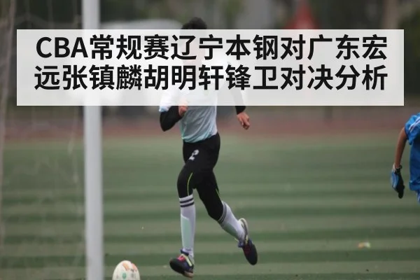 CBA常规赛辽宁本钢对广东宏远张镇麟胡明轩锋卫对决分析